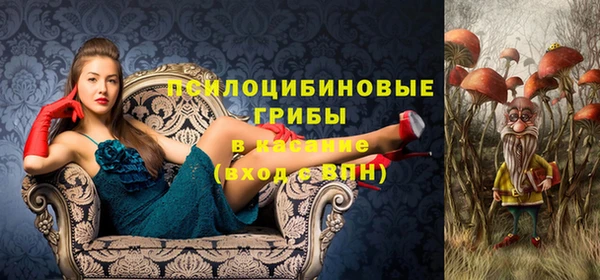 apvp Балахна