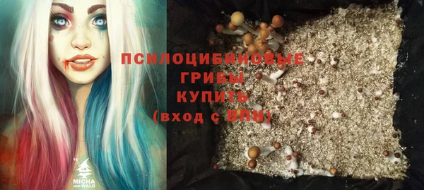 apvp Балахна