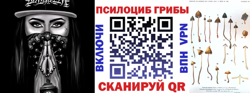 Галлюциногенные грибы Psilocybe где найти наркотики Белово