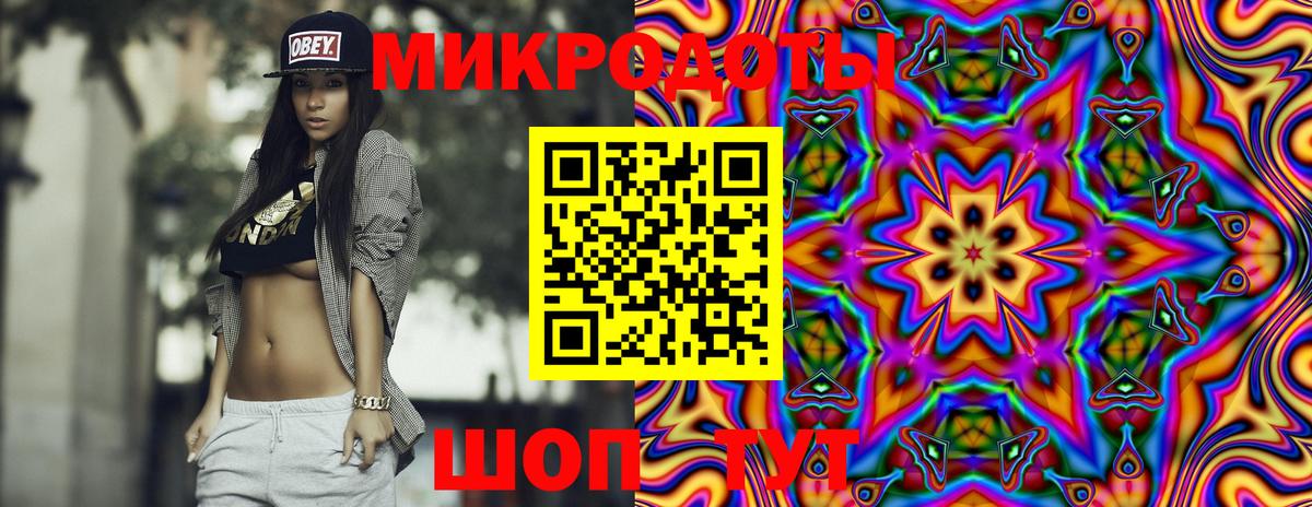 Галлюциногенные грибы Psilocybe Белово
